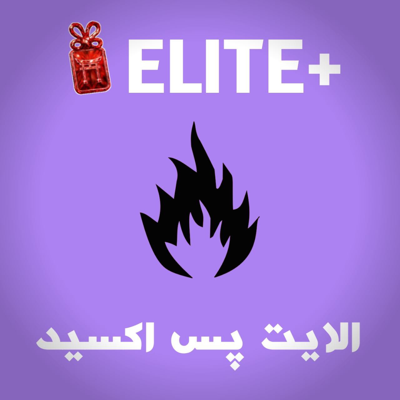 photo_2025-10-13_04-51-53